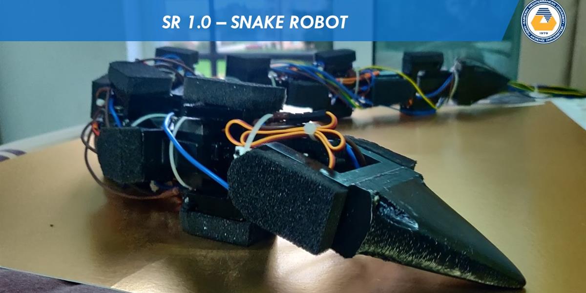 Snake Robot SR01