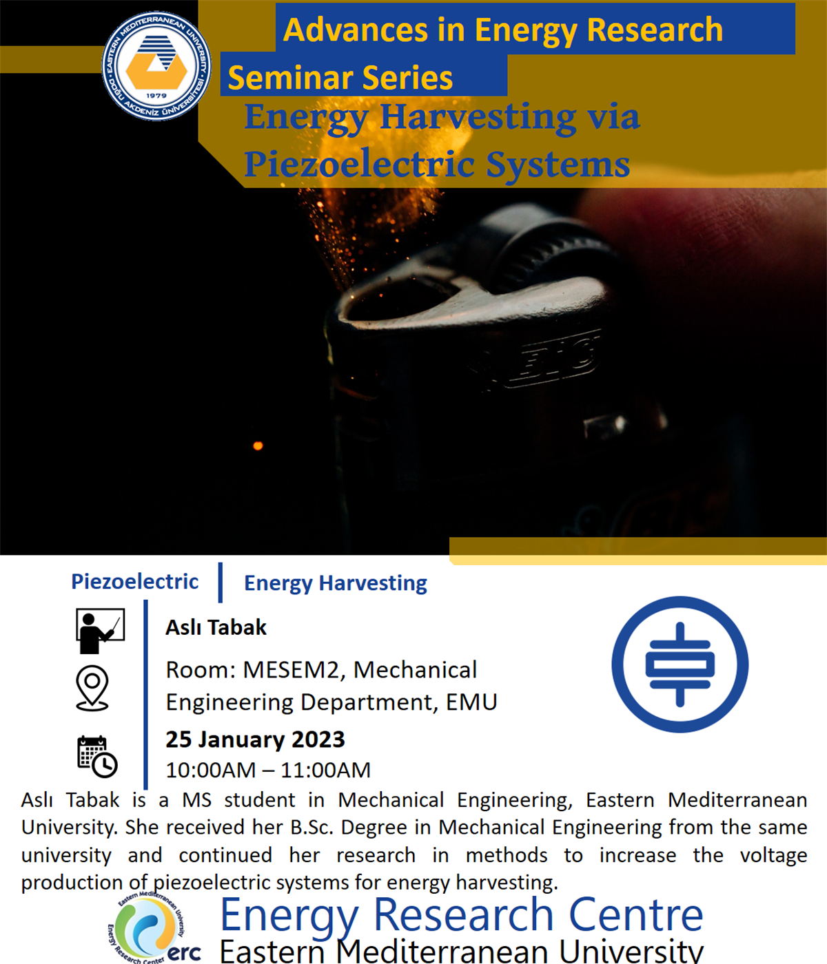 Advances in Energy Research Seminar Series "Energy Harvesting via Piezoelectric Systems"